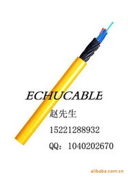 上海易初電線電纜 專業(yè)電氣設備用電纜產品列表與經營概述